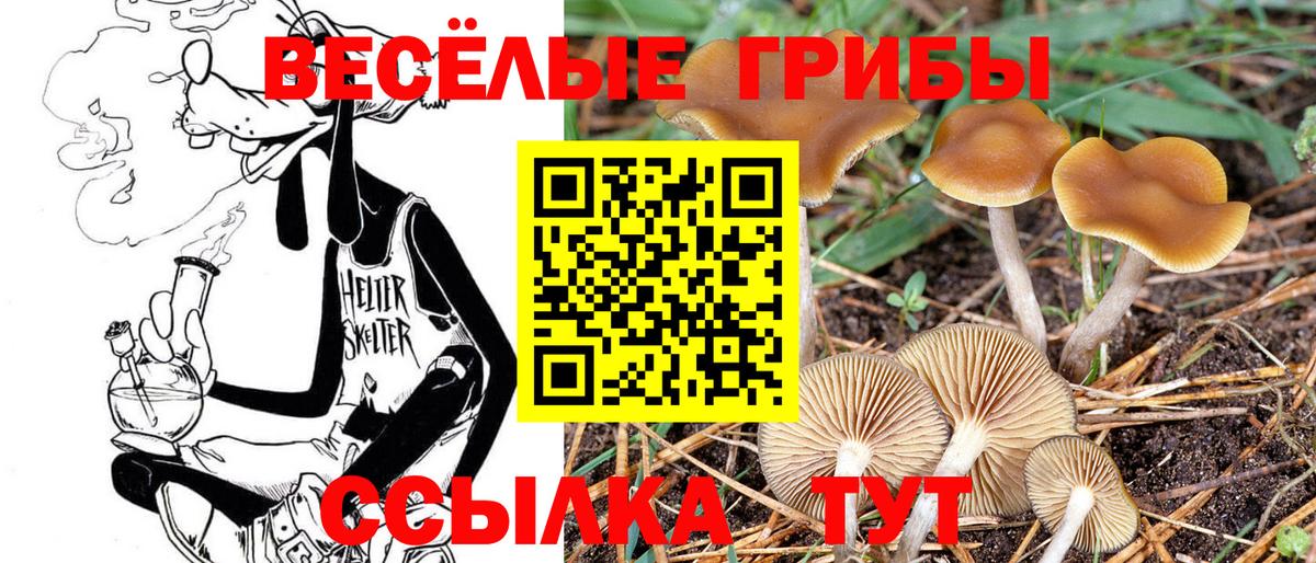 Топки  Псилоцибиновые грибы мицелий  Вход с VPN 